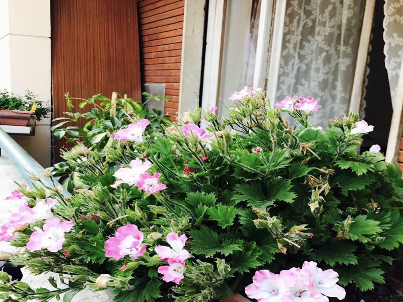 Pardis Guest House Rom Exterior foto