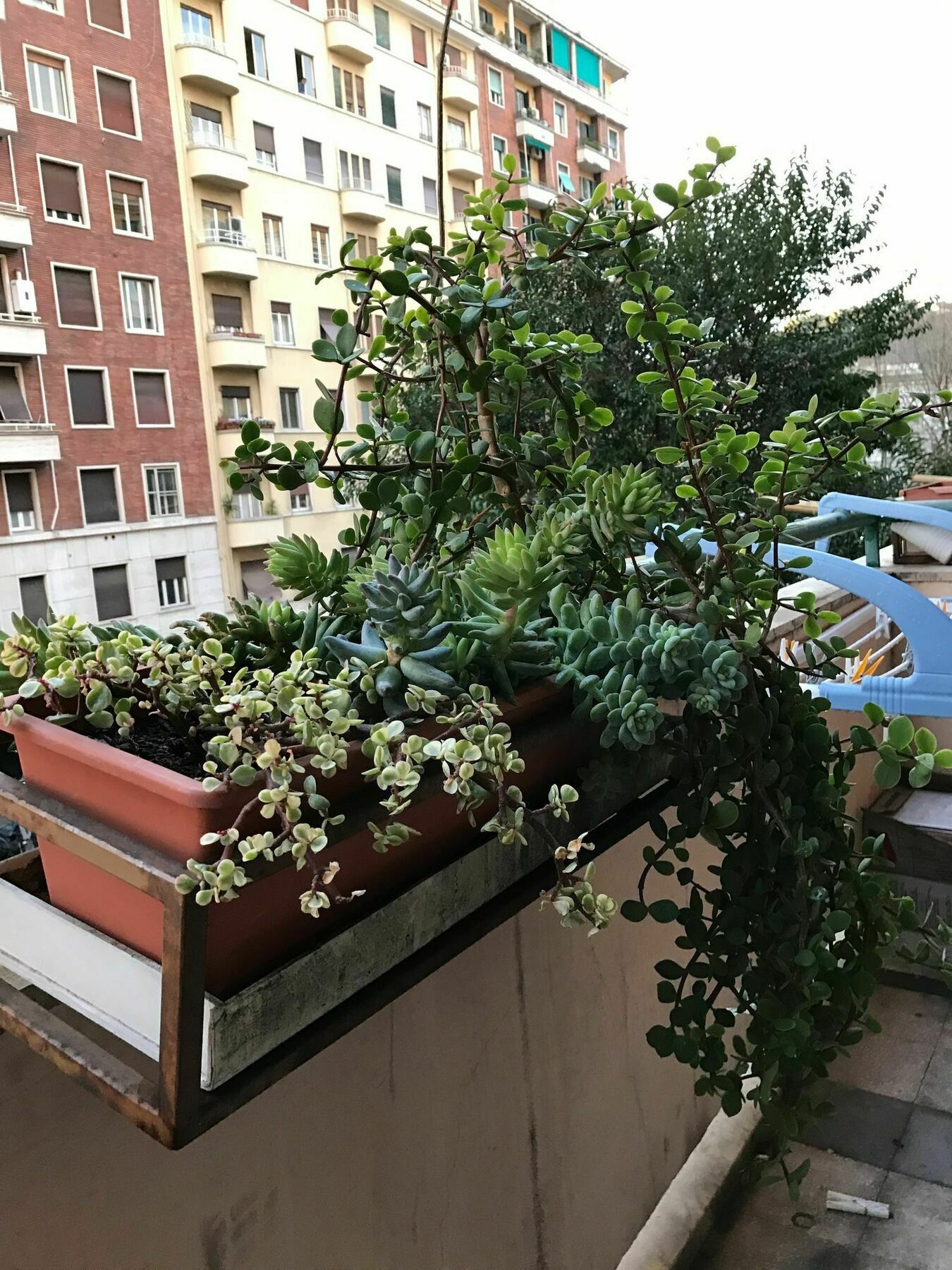 Pardis Guest House Rom Exterior foto